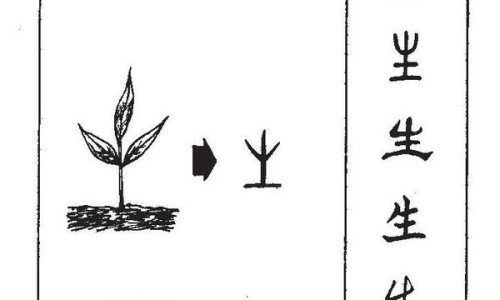 青梅吃法大全-青梅肉的营养价值网-分享青梅营养价值及功效，青梅肉怎么做知识库