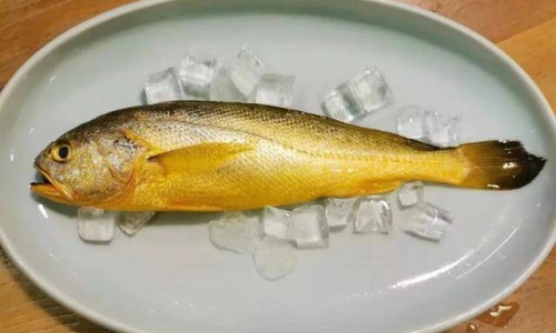青梅肉的营养价值及功效-青梅肉的营养价值网-分享青梅营养价值及功效，青梅肉怎么做知识库